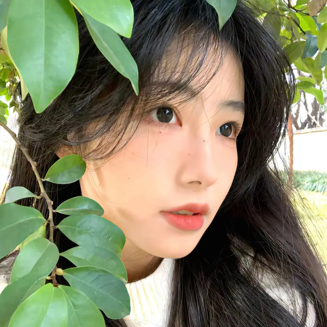 玛格达娜的驴子