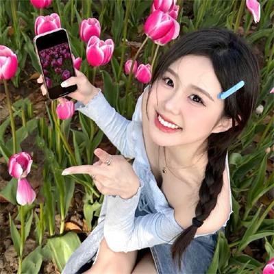 莫丽的朝圣